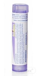 ARNICA MONTANA CH30 1x4 g