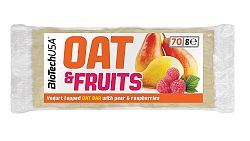 BioTech OAT & FRUITS 70g