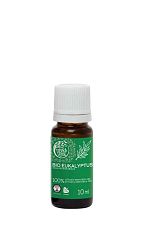 Tierra Verde Silica BIO Eukalyptus 10 ml