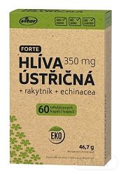 VITAR Hliva ustricová + rakytník + echinacea forte 60 kapsúl