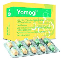 Yomogi cps.dur.10 x 250mg