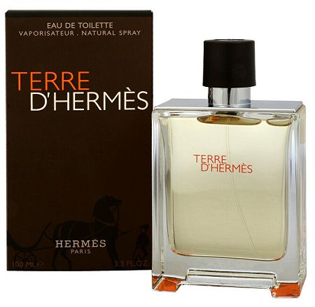 Hermès Terre D'Hermès toaletná voda pánska 100 ml